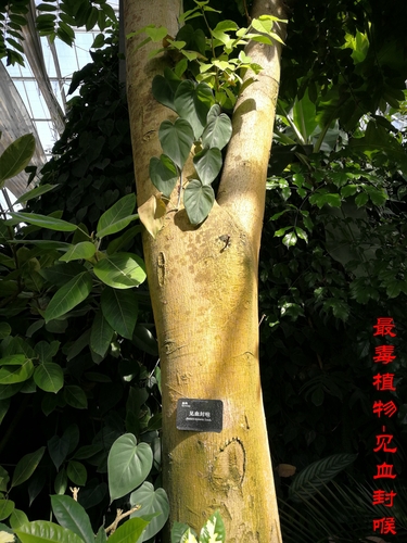 文化生活:畅游天下:英雄武汉 美丽武汉24、 文化生活:畅游天下:英雄武汉 美丽武汉24、