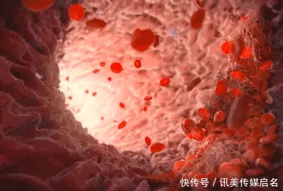 晚情园地:服务平台:经常食用圆白菜能保健强身,延年益寿1、.webp 晚情园地:服务平台:经常食用圆白菜能保健强身,延年益寿1、.webp
