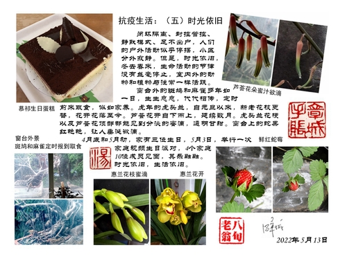 15时光依旧