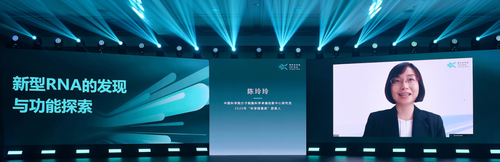 图6