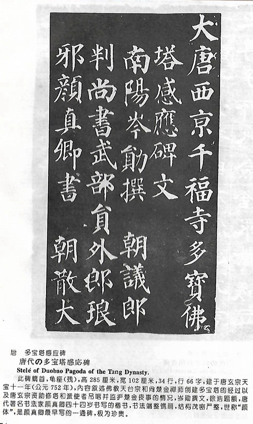 Scan15