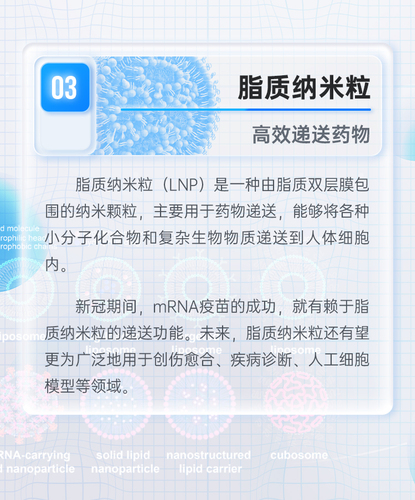 图03
