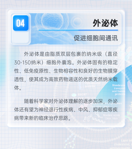 图04