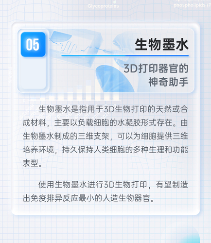 图05