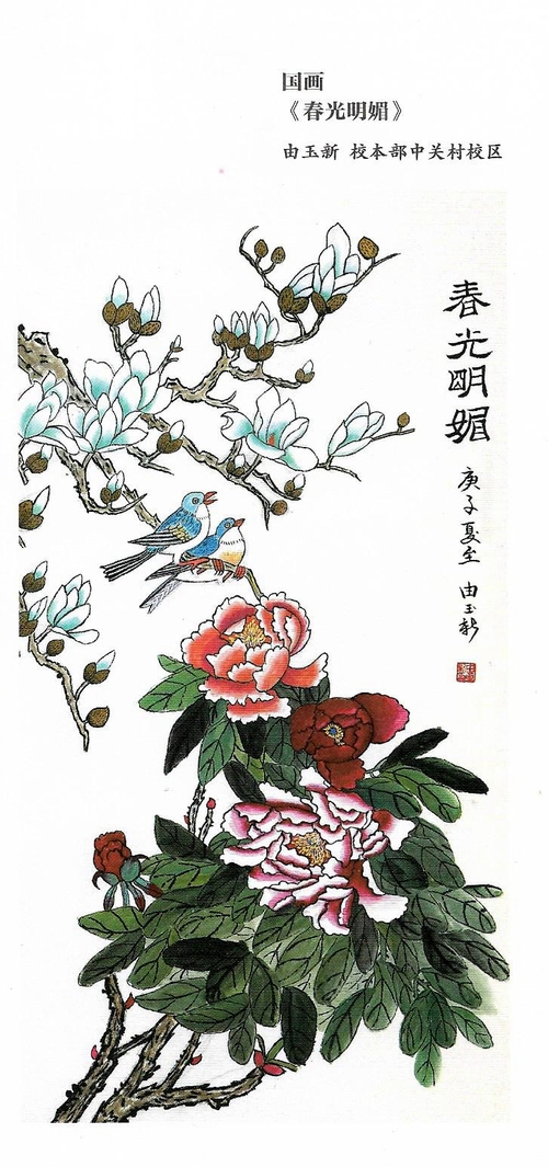 Scan7