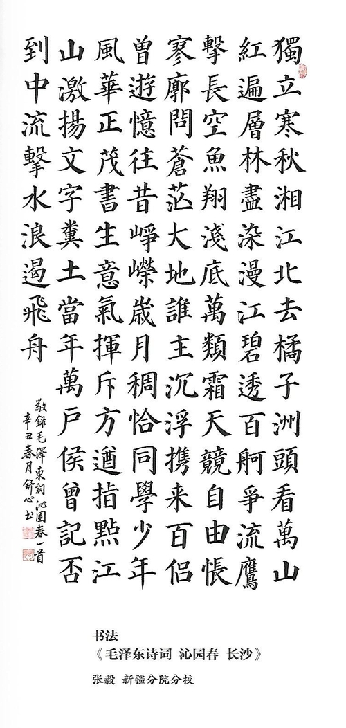 Scan0029