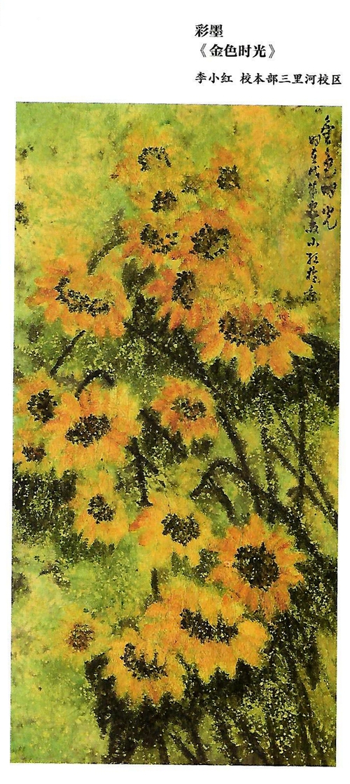 Scan6