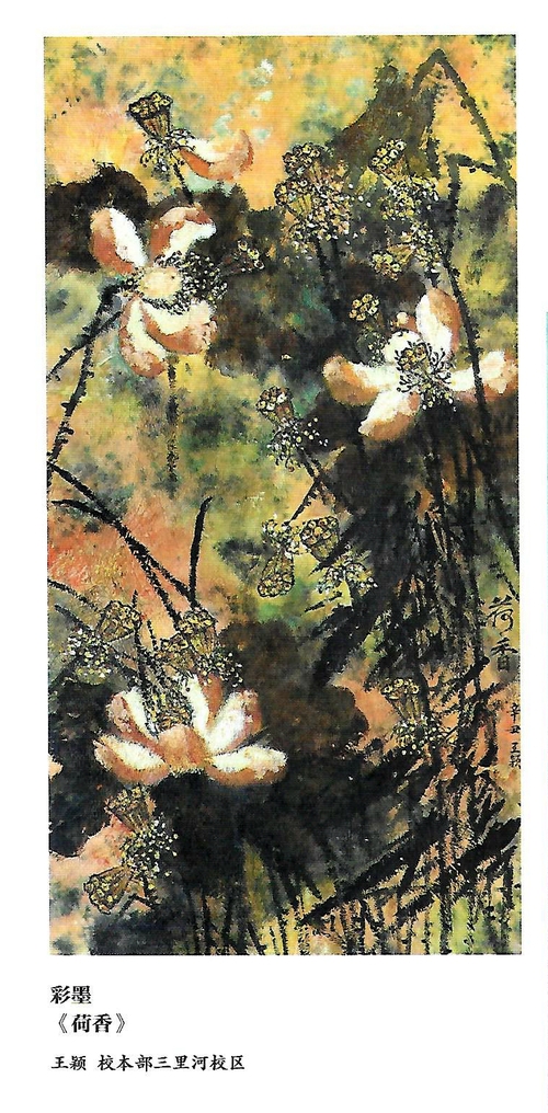 Scan8