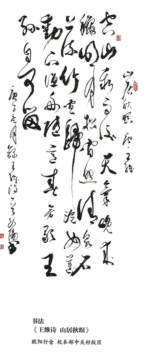 Scan0005