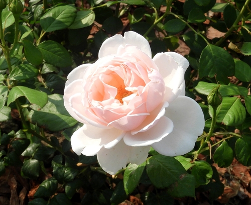 04