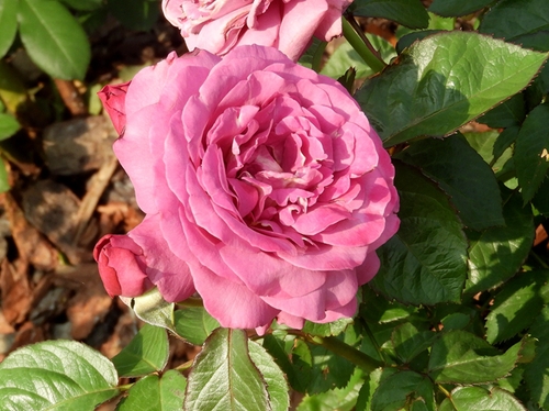 05