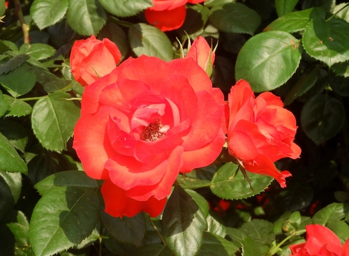 07