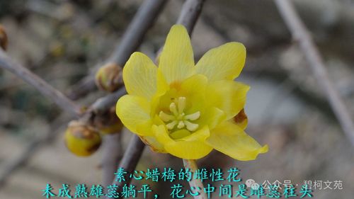 1 1