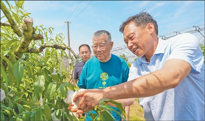 图片1